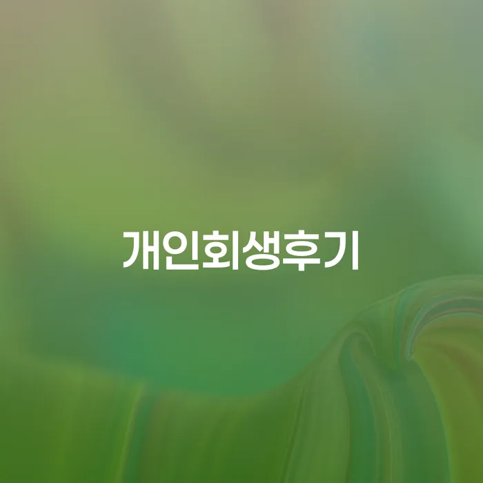 대부업체연체 개인회생 문제해결방법 진행하는