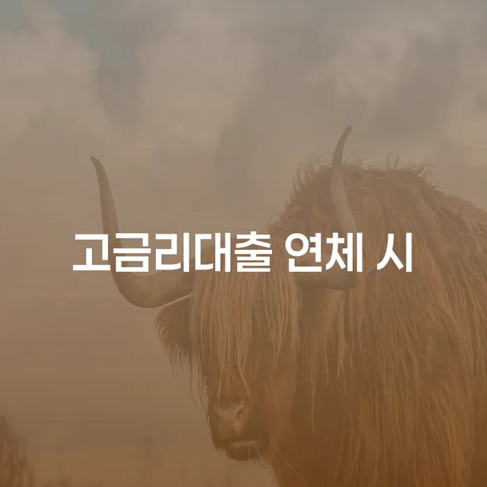 연대보증인채무 신용회복 체크해보세요
