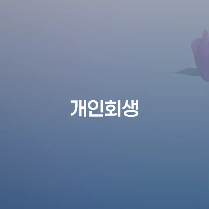 신용회복 채무조정제도을 이용하여 필수는
