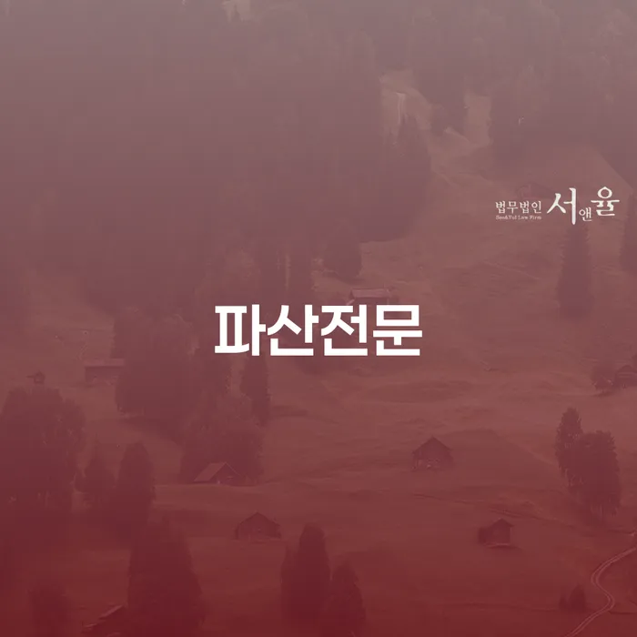 면책금 개인회생 제도 적정한