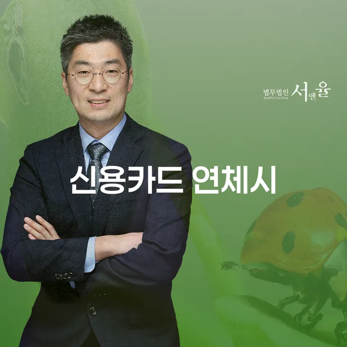 평택시 개인회생 대출 연체 개인회생 전략은 이렇게