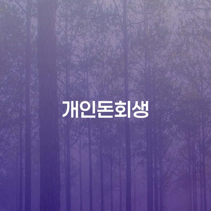 은평구 개인회생개시결정 개인회생으로 방법 자세하게 알아보자