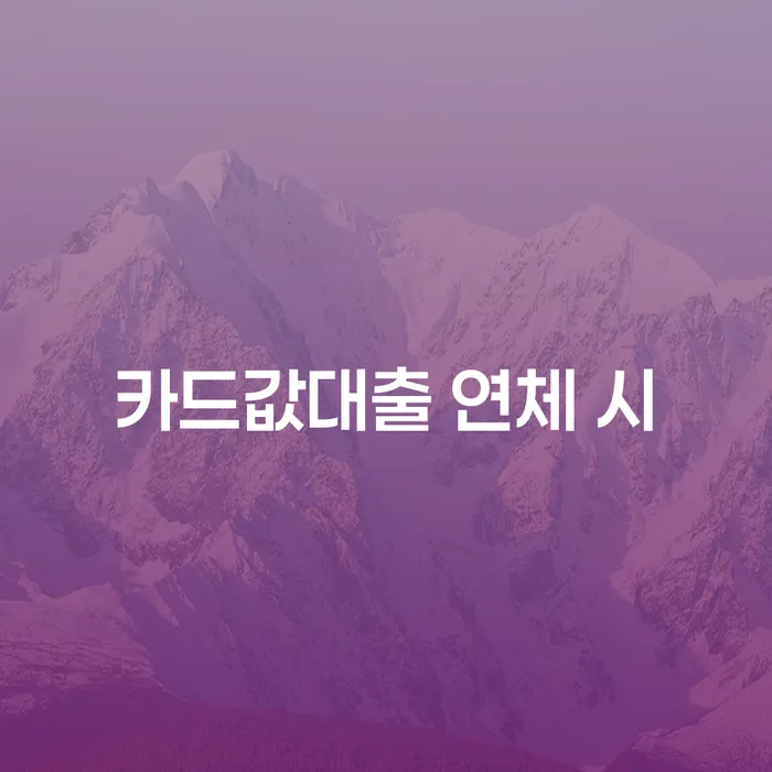 무주군 개인회생연체 대출 연체 개인회생 확실한 진행