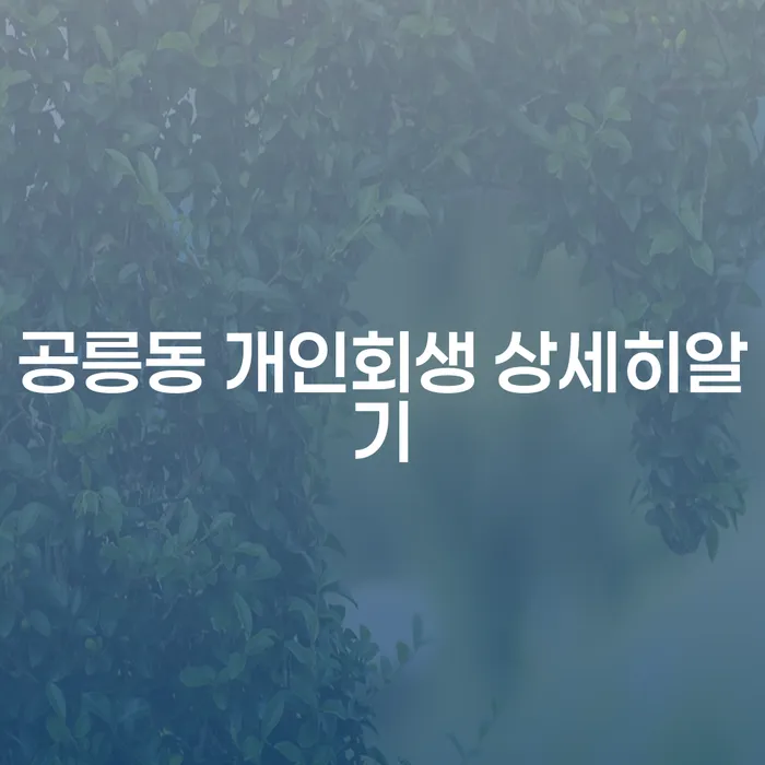 공릉동 개인회생 상세히알기