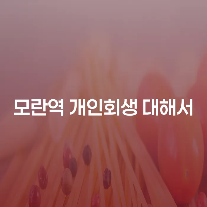모란역 개인회생 대해서