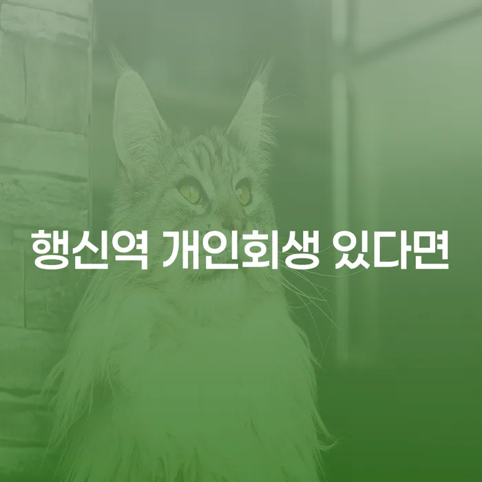 행신역 개인회생 있다면