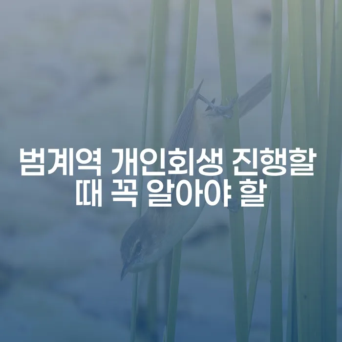 범계역 개인회생 진행할 때 꼭 알아야 할
