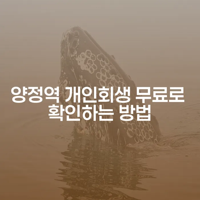 양정역 개인회생 무료로 확인하는 방법