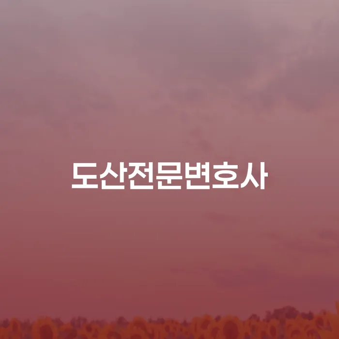 도산전문변호사에게 개인회생과 파산을 상담해야 하는 이유는?