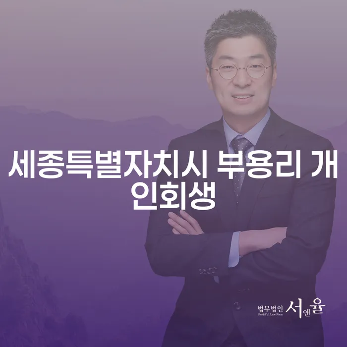 세종특별자치시 부용리에서 개인회생과 개인파산 신청을 고려해보셨나요?